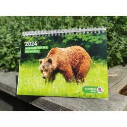 Tischkalender BÄRENWALD Müritz 2024